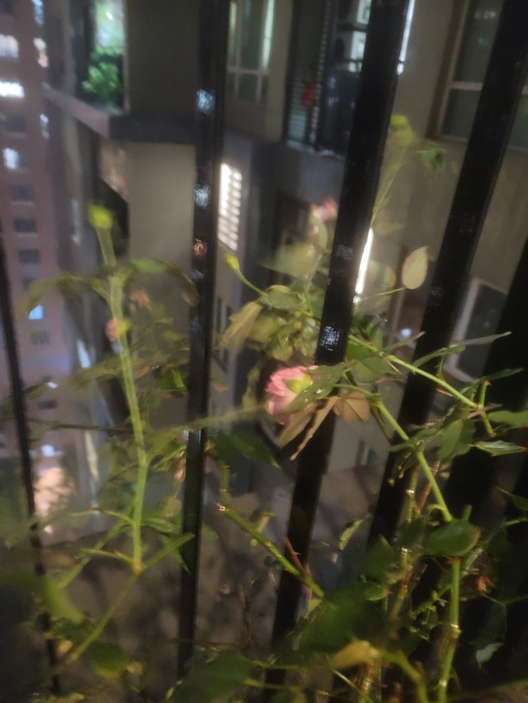 20260628_205046.jpg