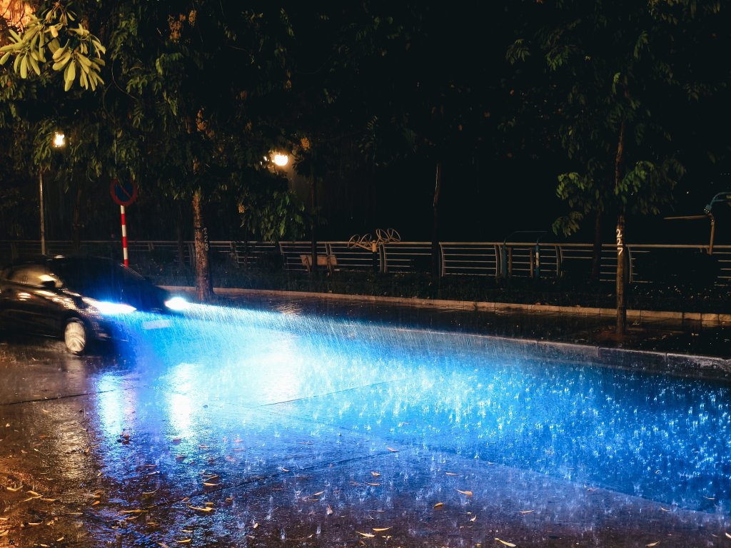 2482.jpg