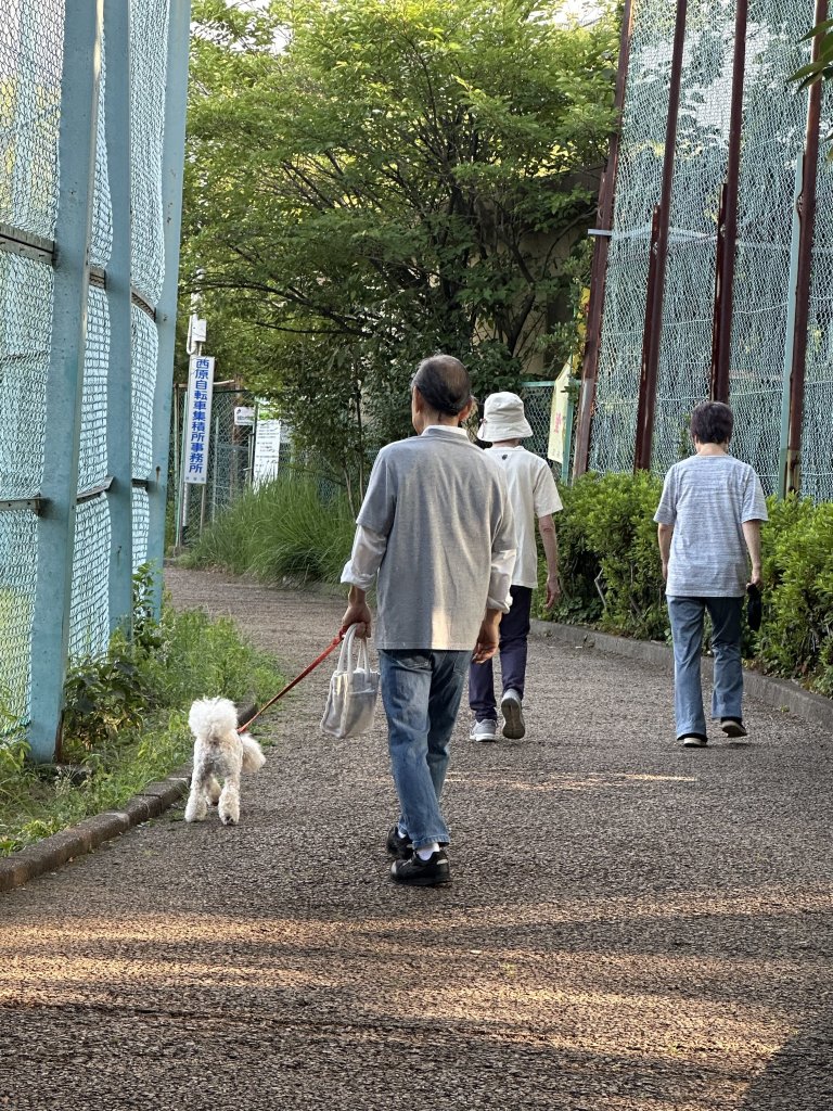 IMG_2203.jpeg