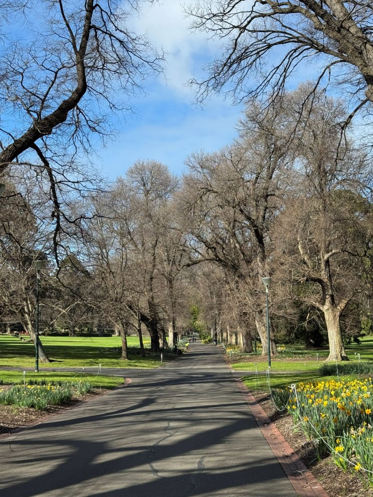 Fitzroy Gardens cont.jpg