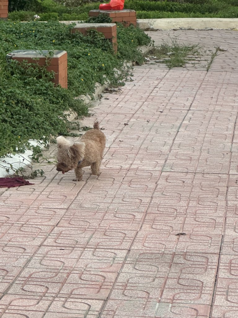 IMG_5614.jpeg