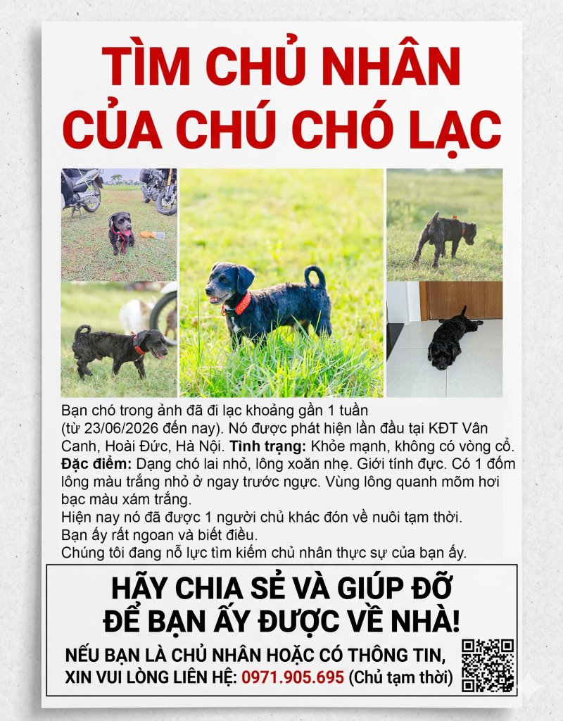 tim-cho-lac-2.jpg