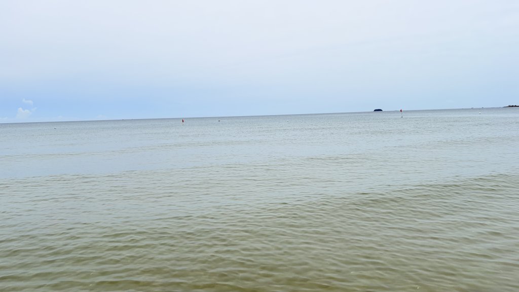 IMG_1504.jpeg