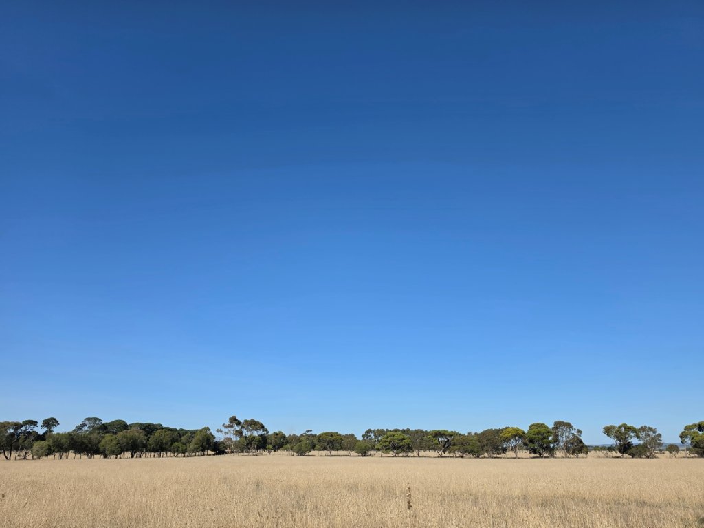 dry field.jpg