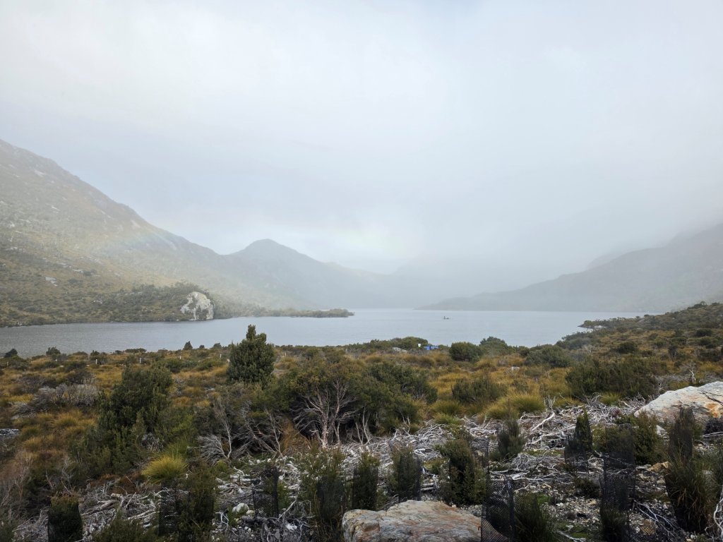Dove Lake Track.jpg