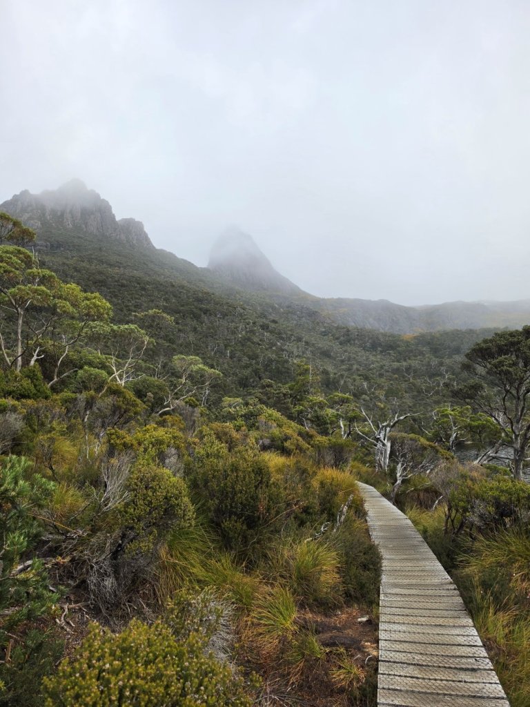 Dove Lake Track 1.jpg