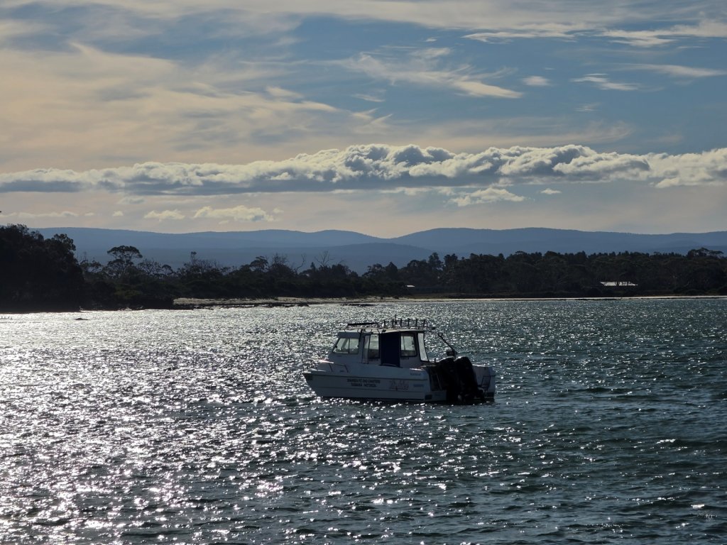 Boat in Swanbay.jpg
