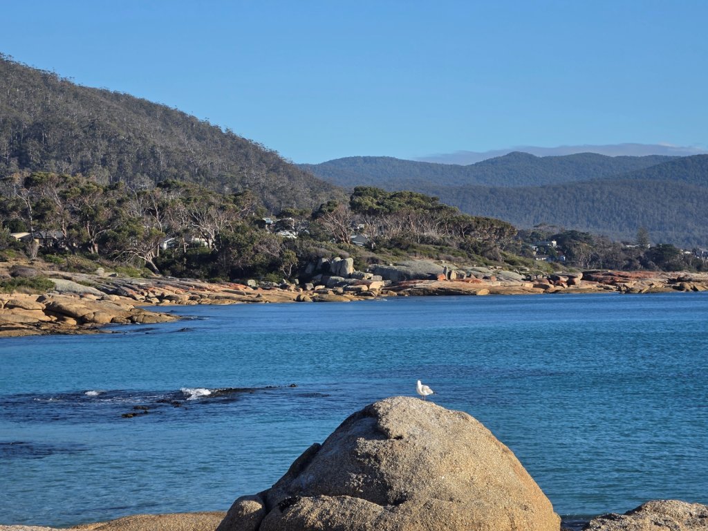 bicheno beach 1.jpg