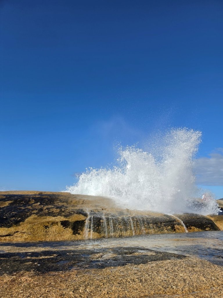 Bicheno Blowhole.jpg