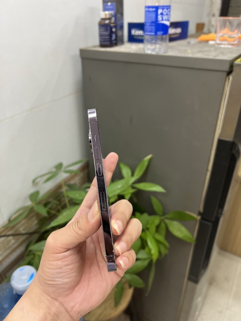 IMG_7815.jpeg