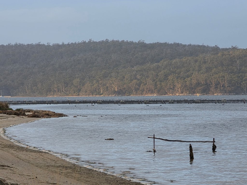 Oyster Farm in Georges Bay.jpg