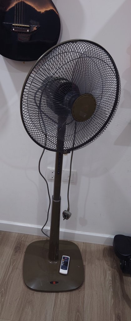 1000023070.jpg