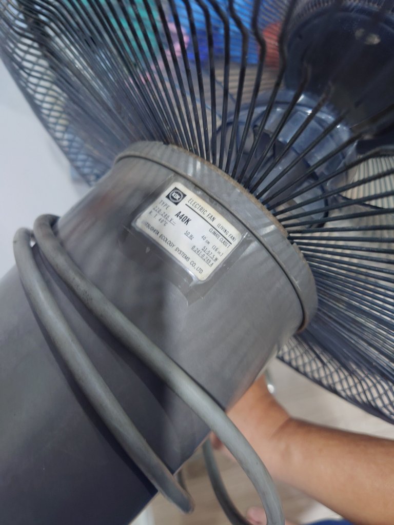 1000023067.jpg