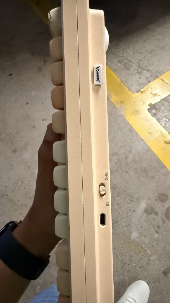 IMG_0086.jpeg