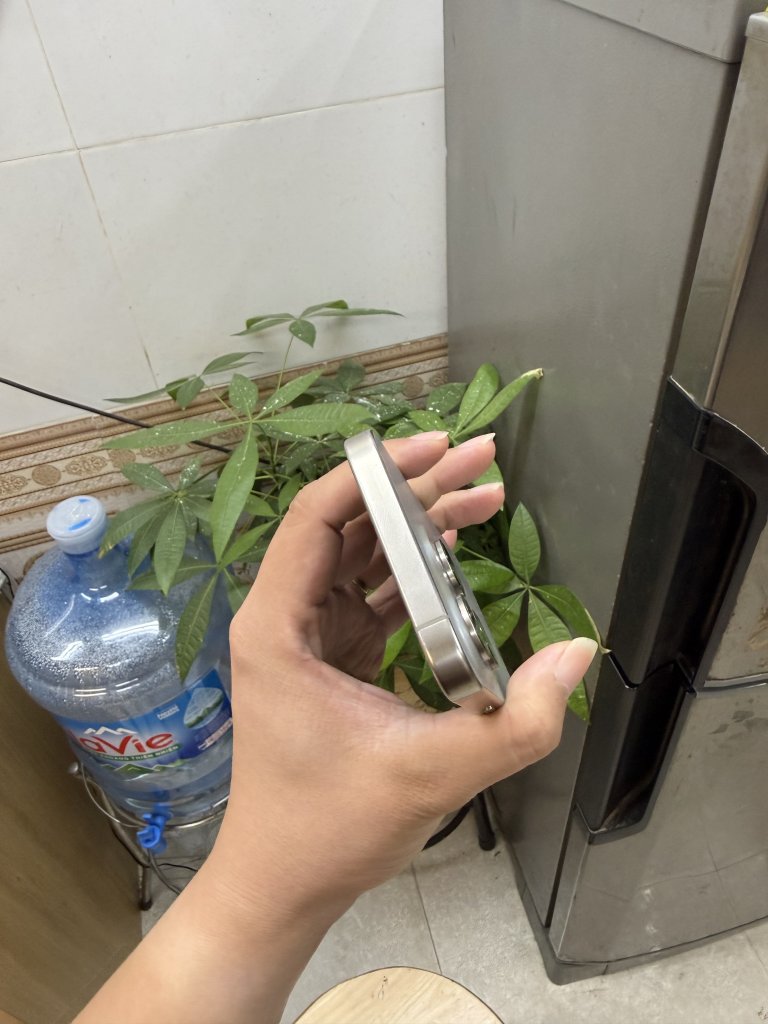 IMG_4650.jpeg