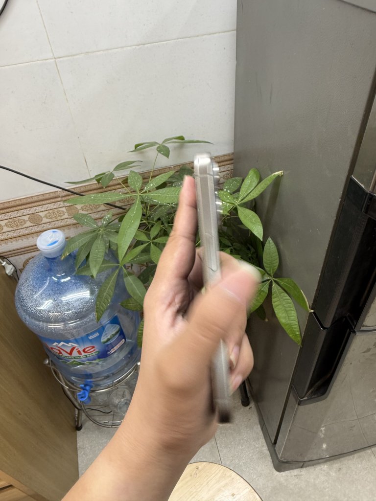 IMG_4649.jpeg