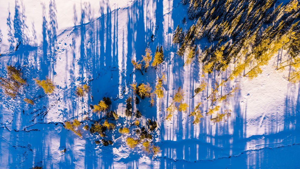 DJI_20251007175945_0406_D_1.jpg
