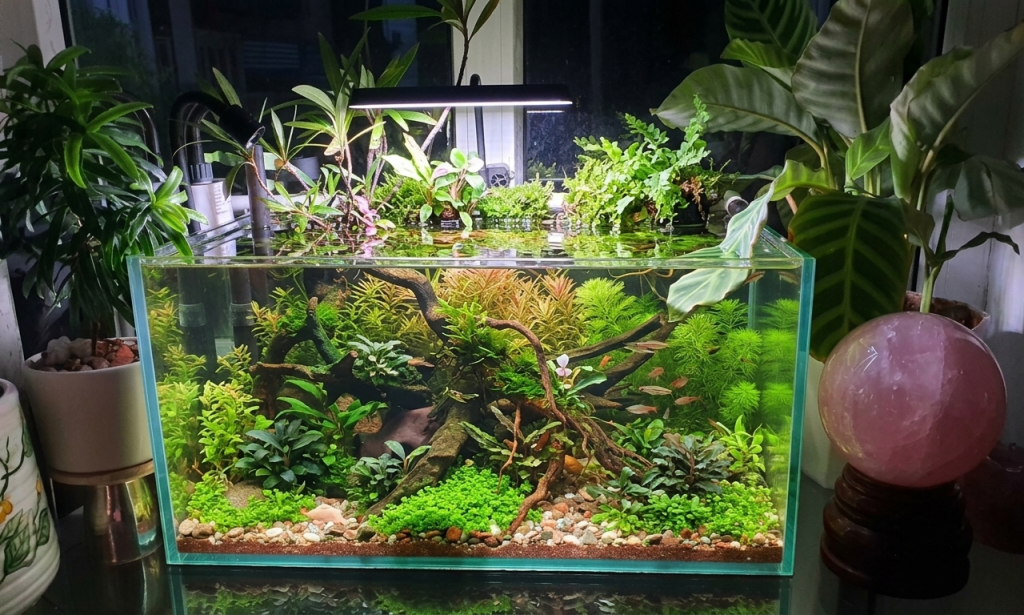 image_e103e99d.png
