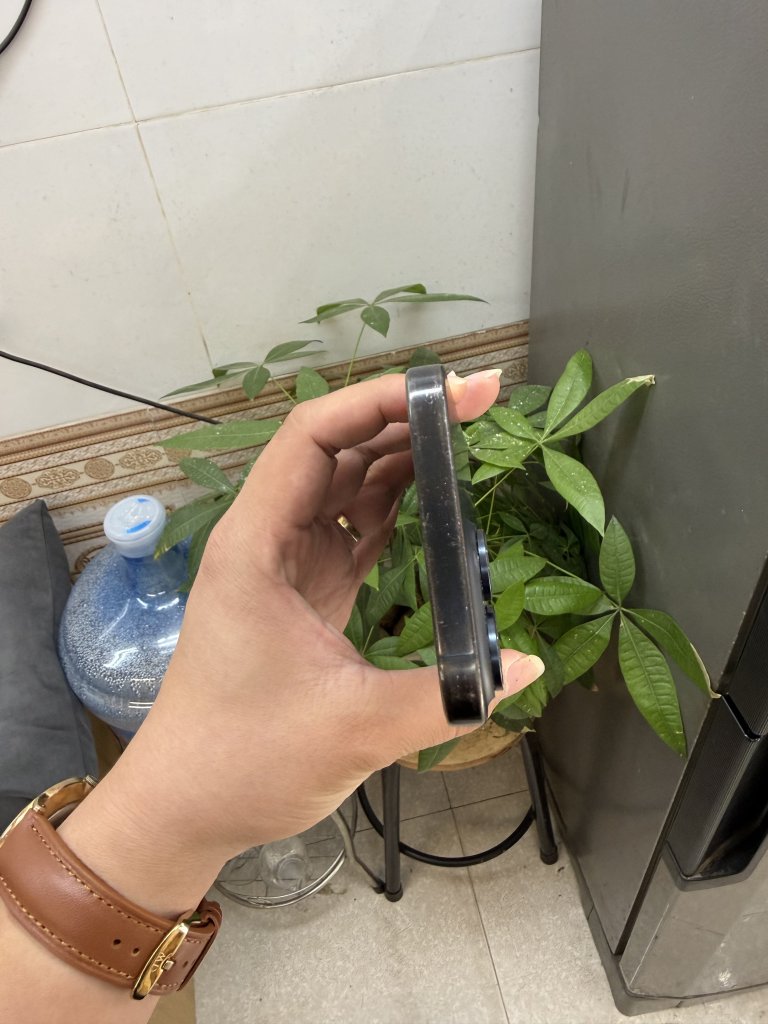 IMG_4723.jpeg