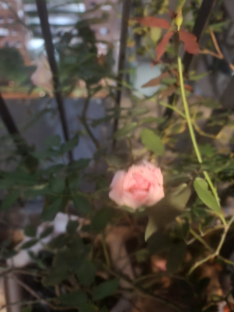 20260706_190939.jpg