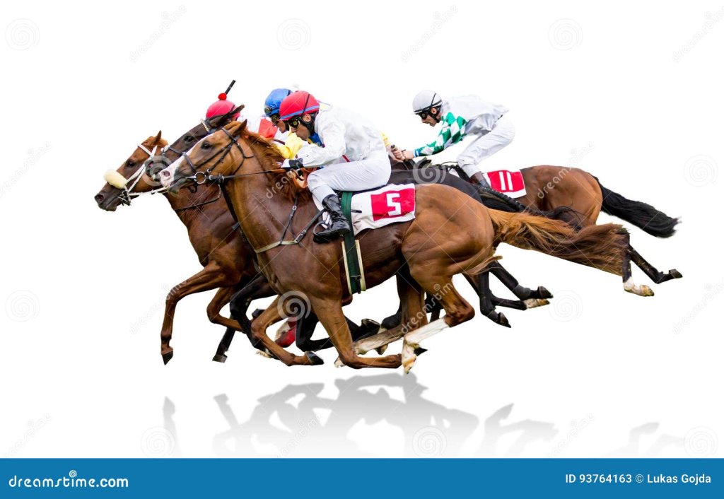 Thoroughbred.jpg