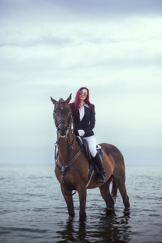arabian horse.jpg