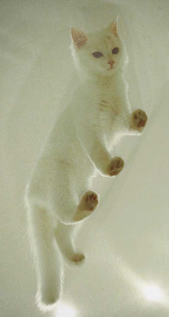 2883.jpg