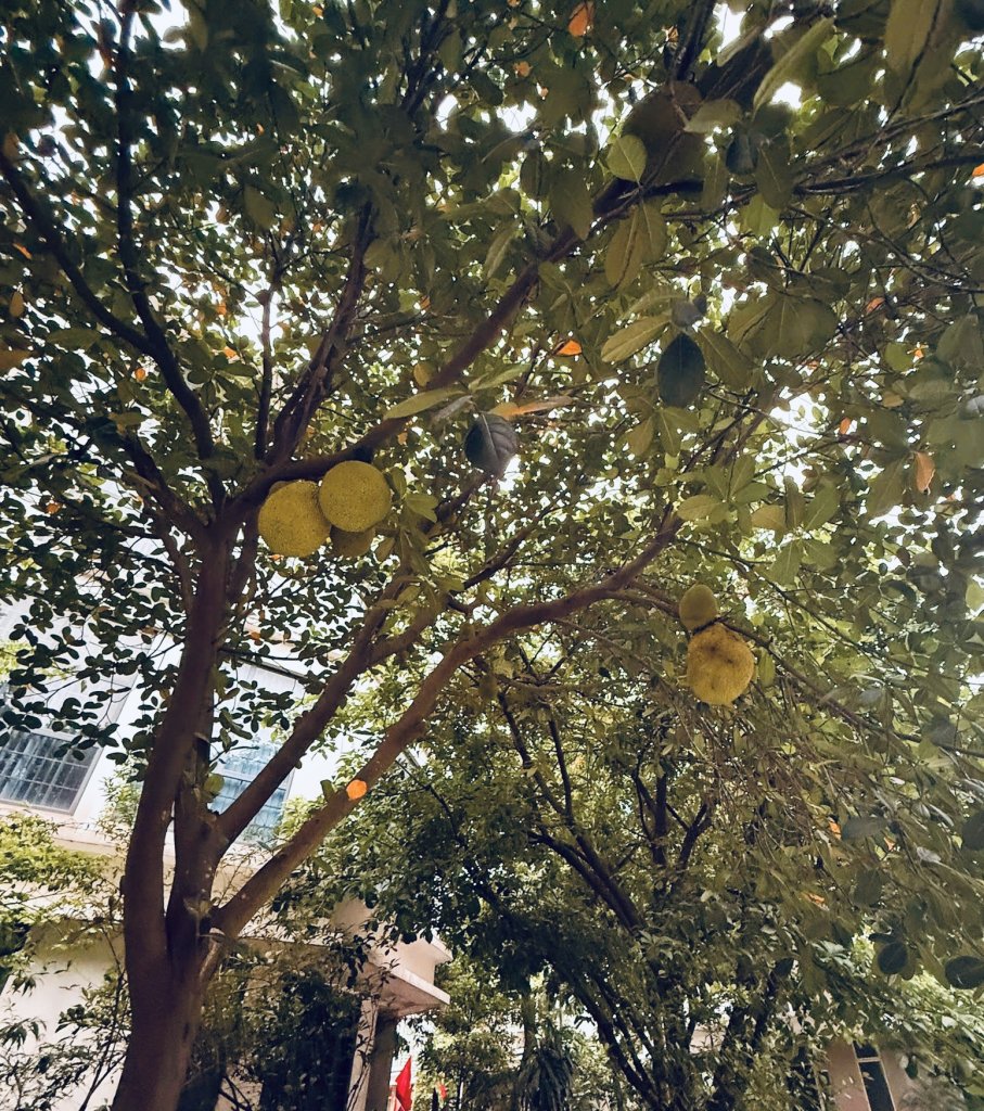 IMG_7728.jpeg