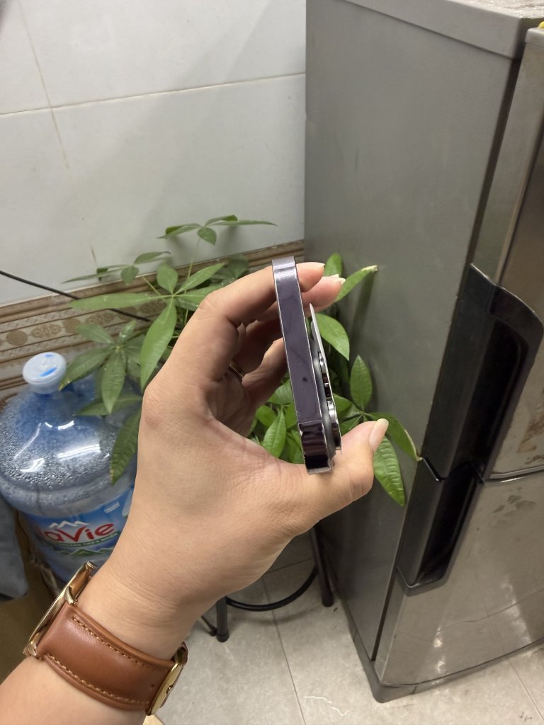 IMG_4770.jpeg