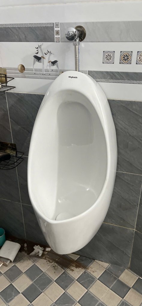 IMG_7391.jpeg
