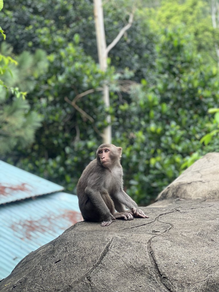 DC1DFDE9-7664-44F5-85F1-C3E154943C4D.jpeg