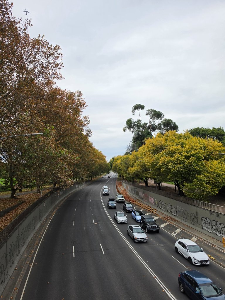 lá vàng mùa thu melb.jpg