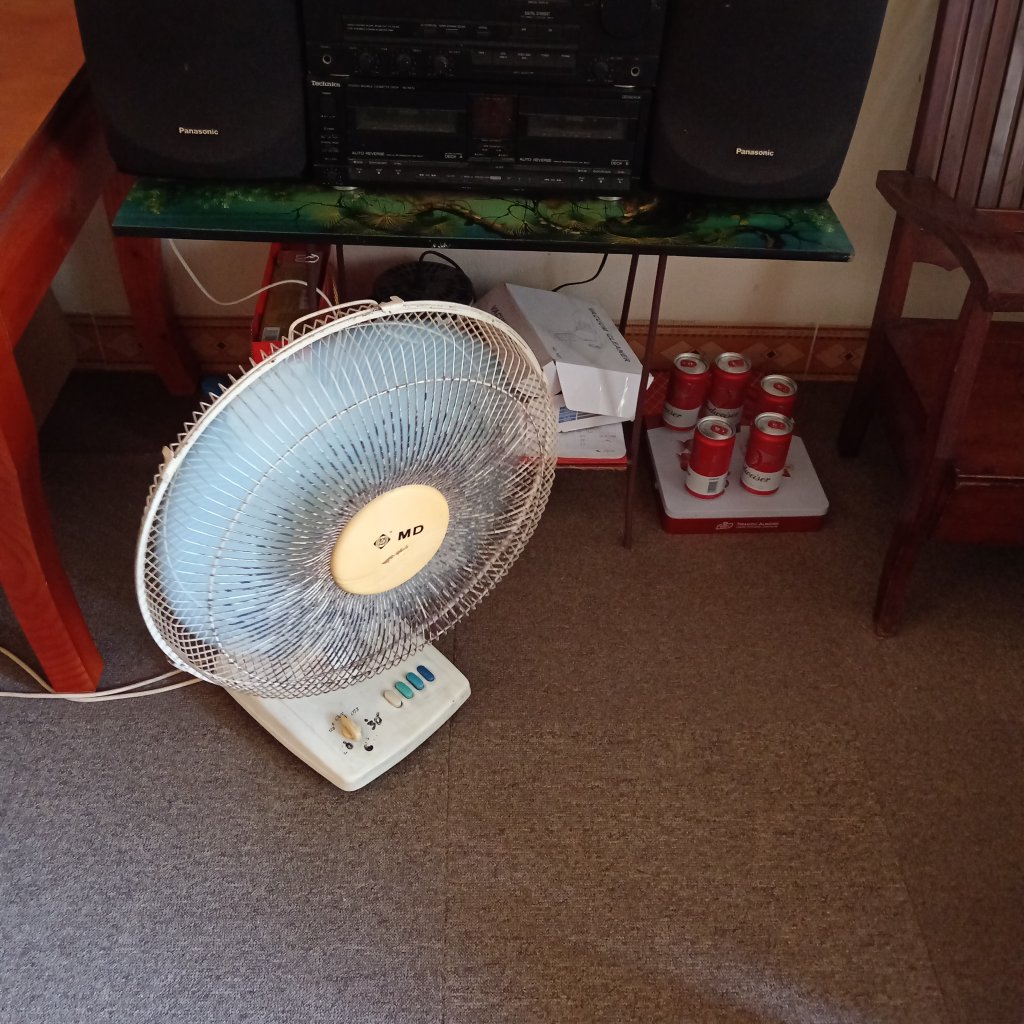 1000012348.jpg