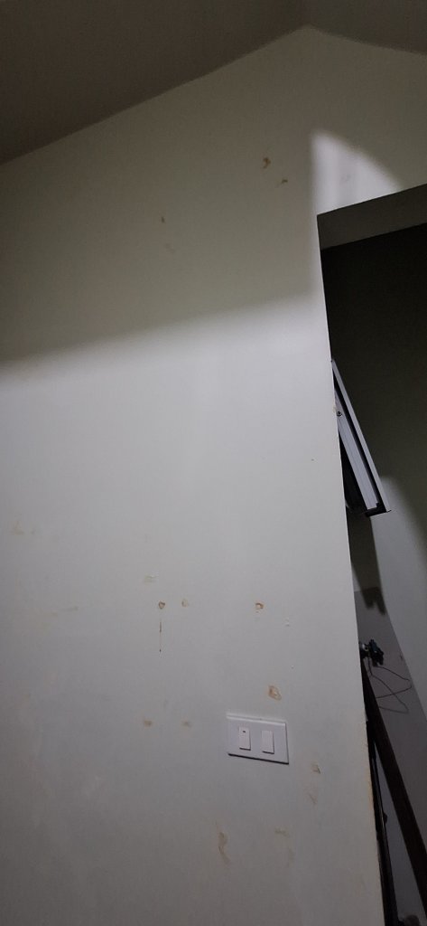 1000037762.jpg