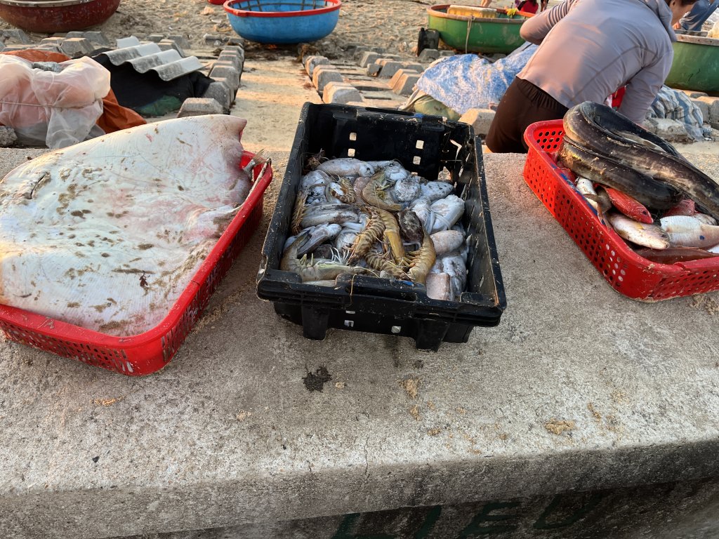 IMG_7716.jpeg