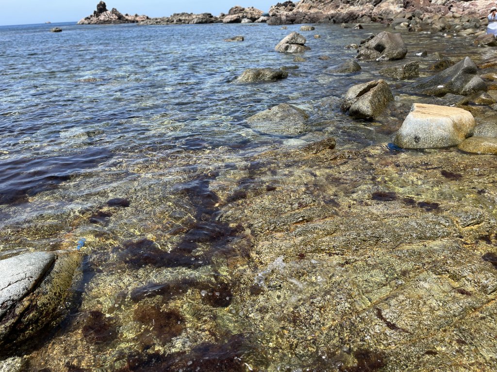 IMG_7883.jpeg