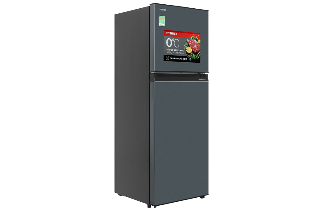 tu-lanh-toshiba-inverter-233l-gr-rt303we-pmv52_6af91929.png