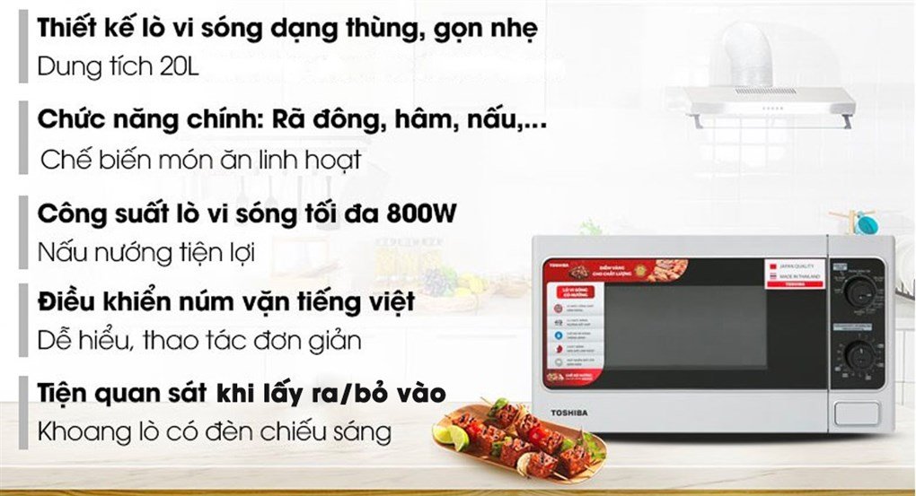 lo-vi-song-toshiba-er-sgm20-s1-vn-1020x553.jpg