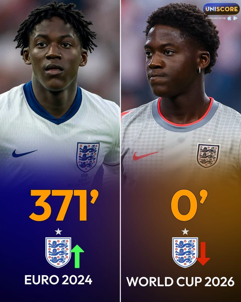 IMG_2433.jpeg