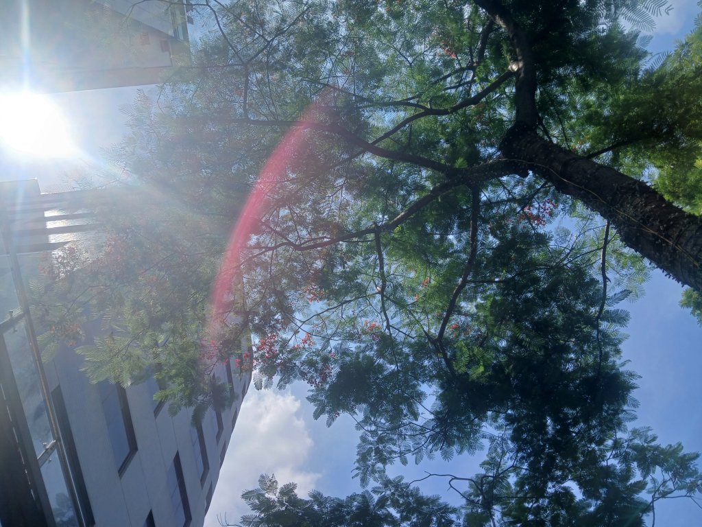 20260714_140242.jpg