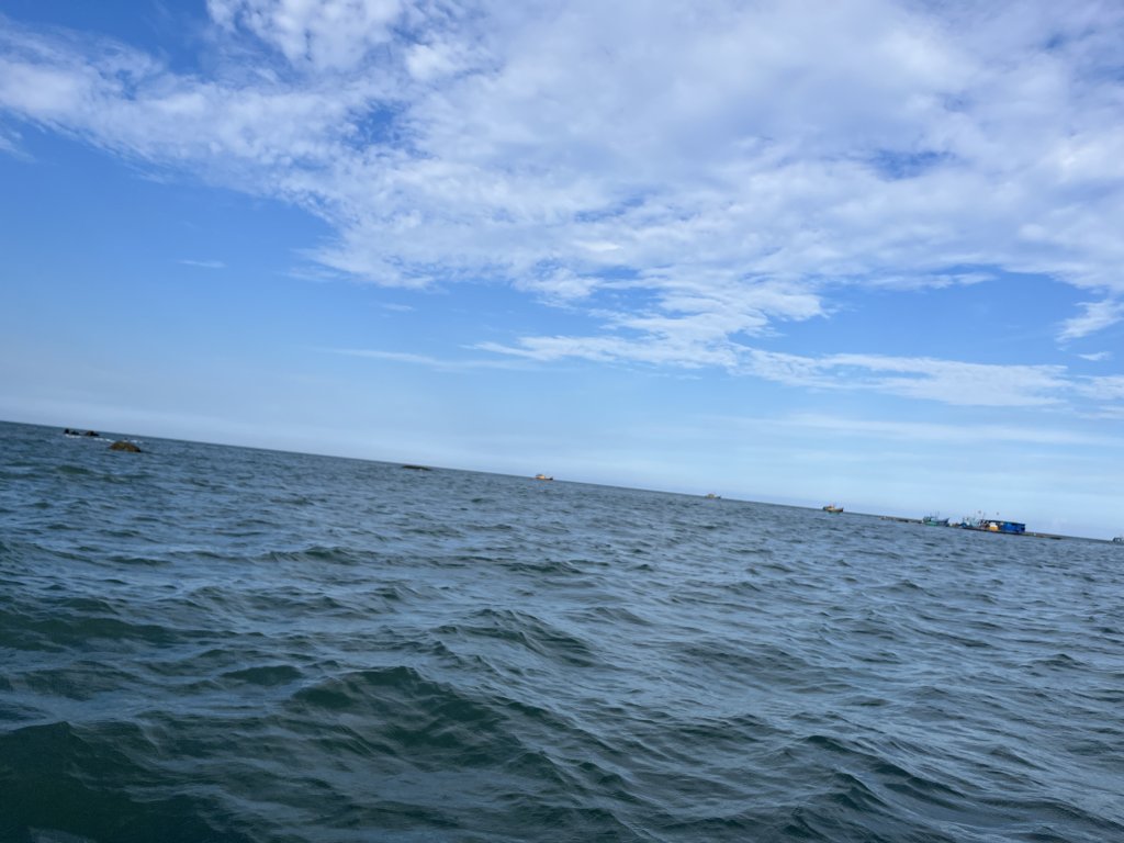 IMG_8211.jpeg