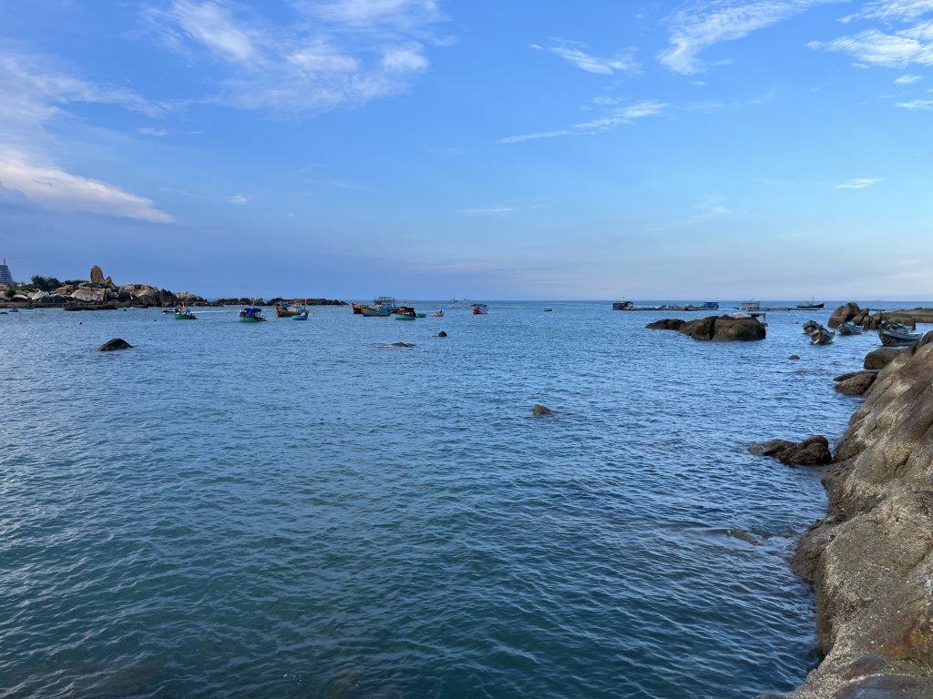 IMG_8237.jpeg