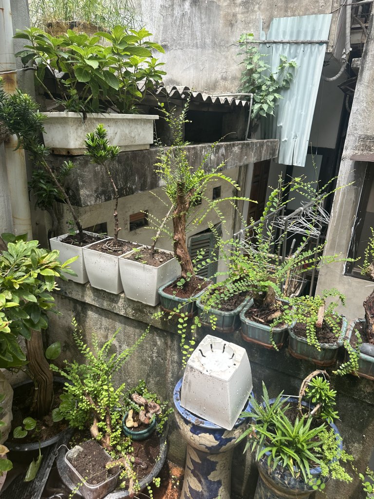 IMG_9728.jpeg