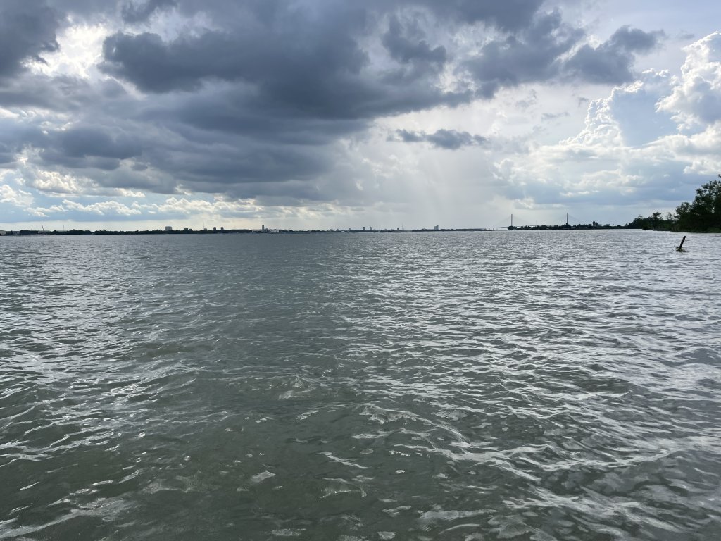 IMG_8346.jpeg