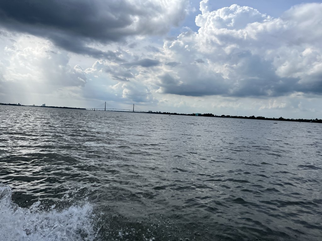 IMG_8349.jpeg