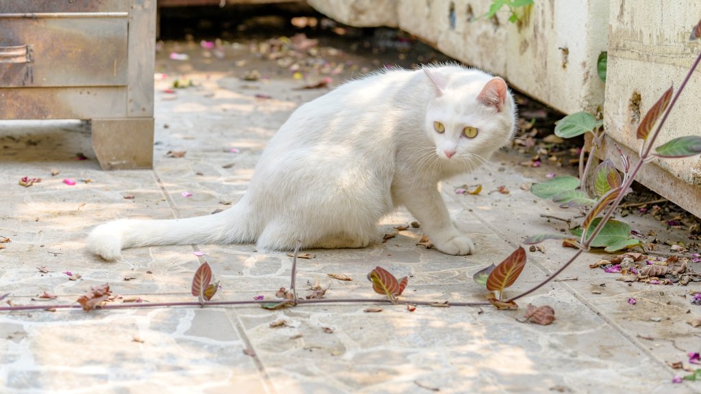 DSC_3474.jpg