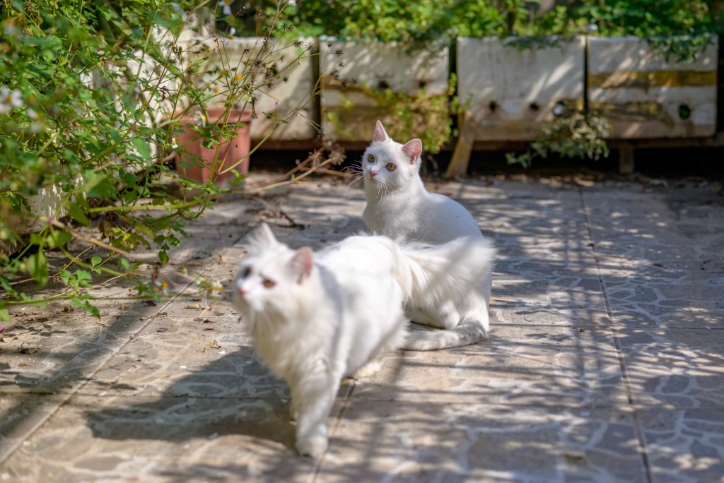 DSC_3804.jpg