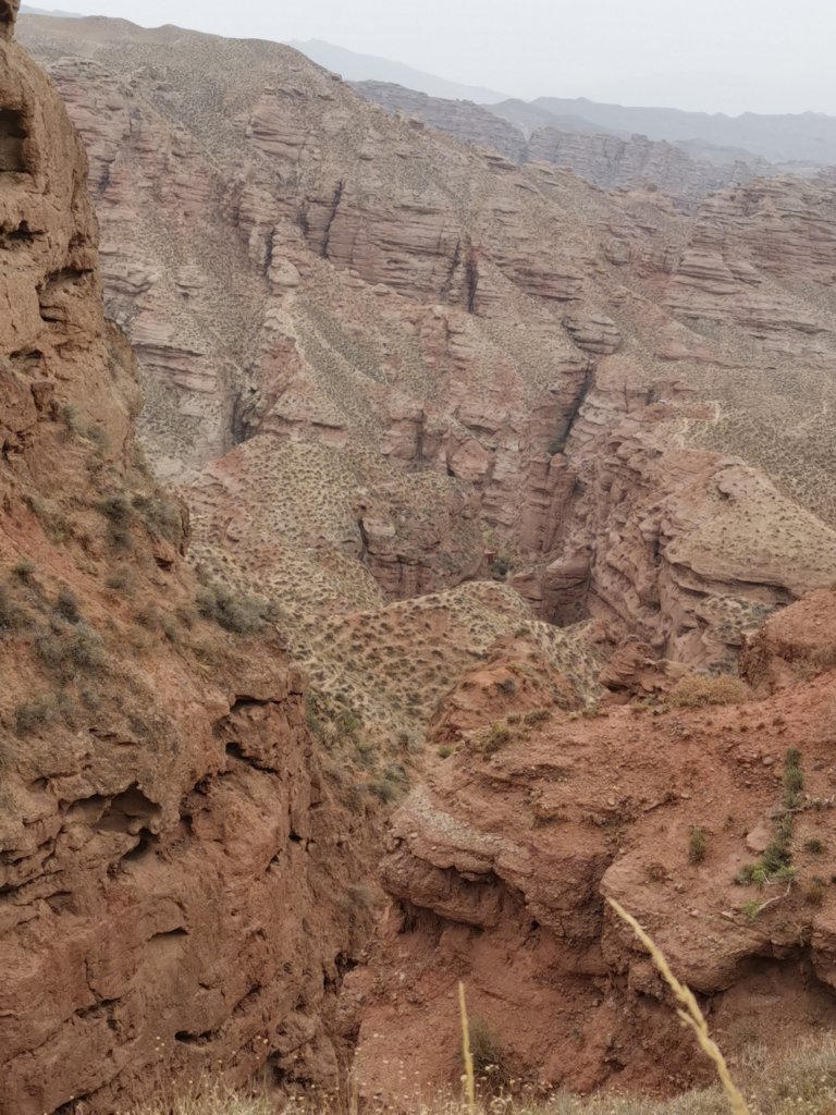 IMG_20251024_180300.jpg