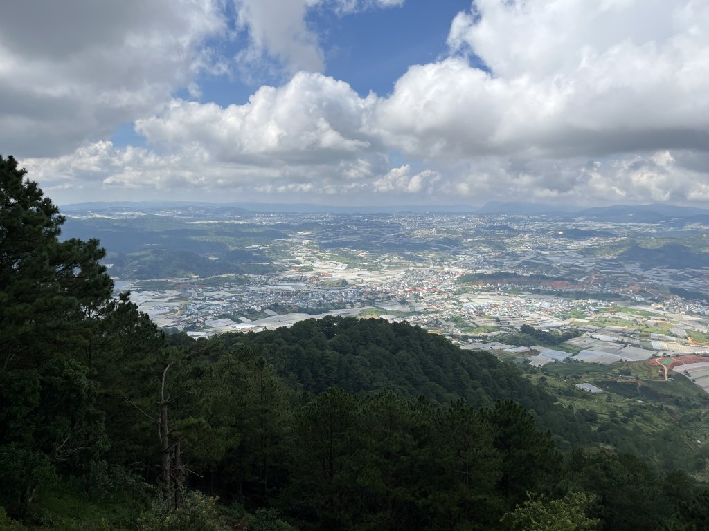 IMG_8771.jpeg