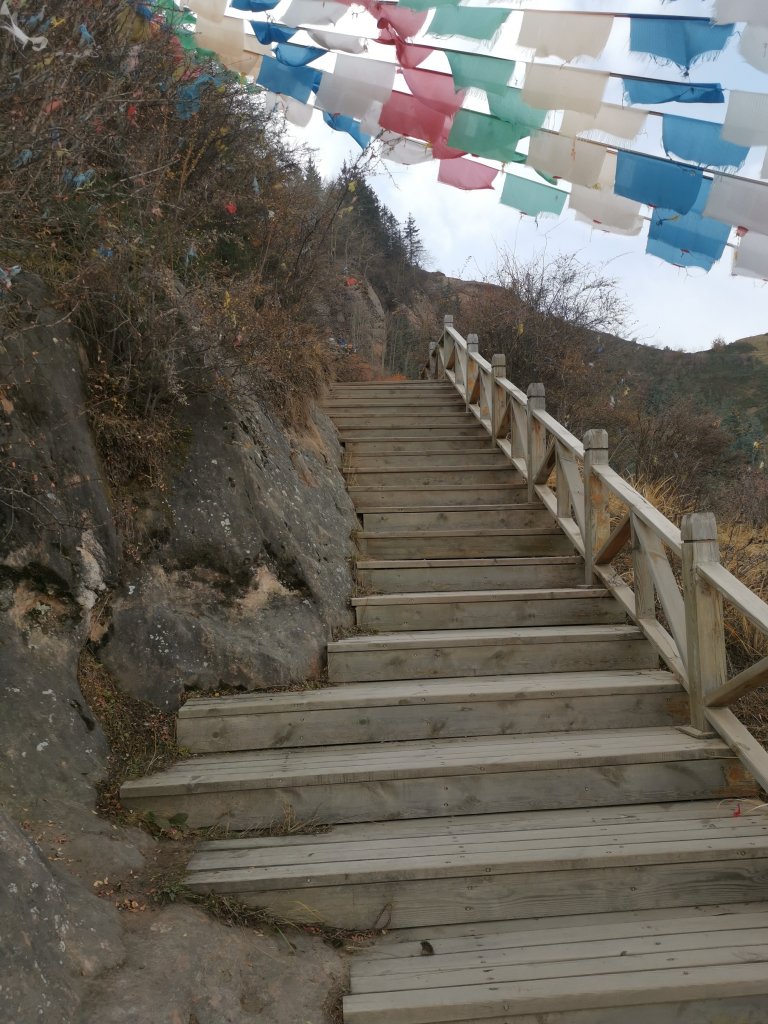 IMG_20251025_111704.jpg